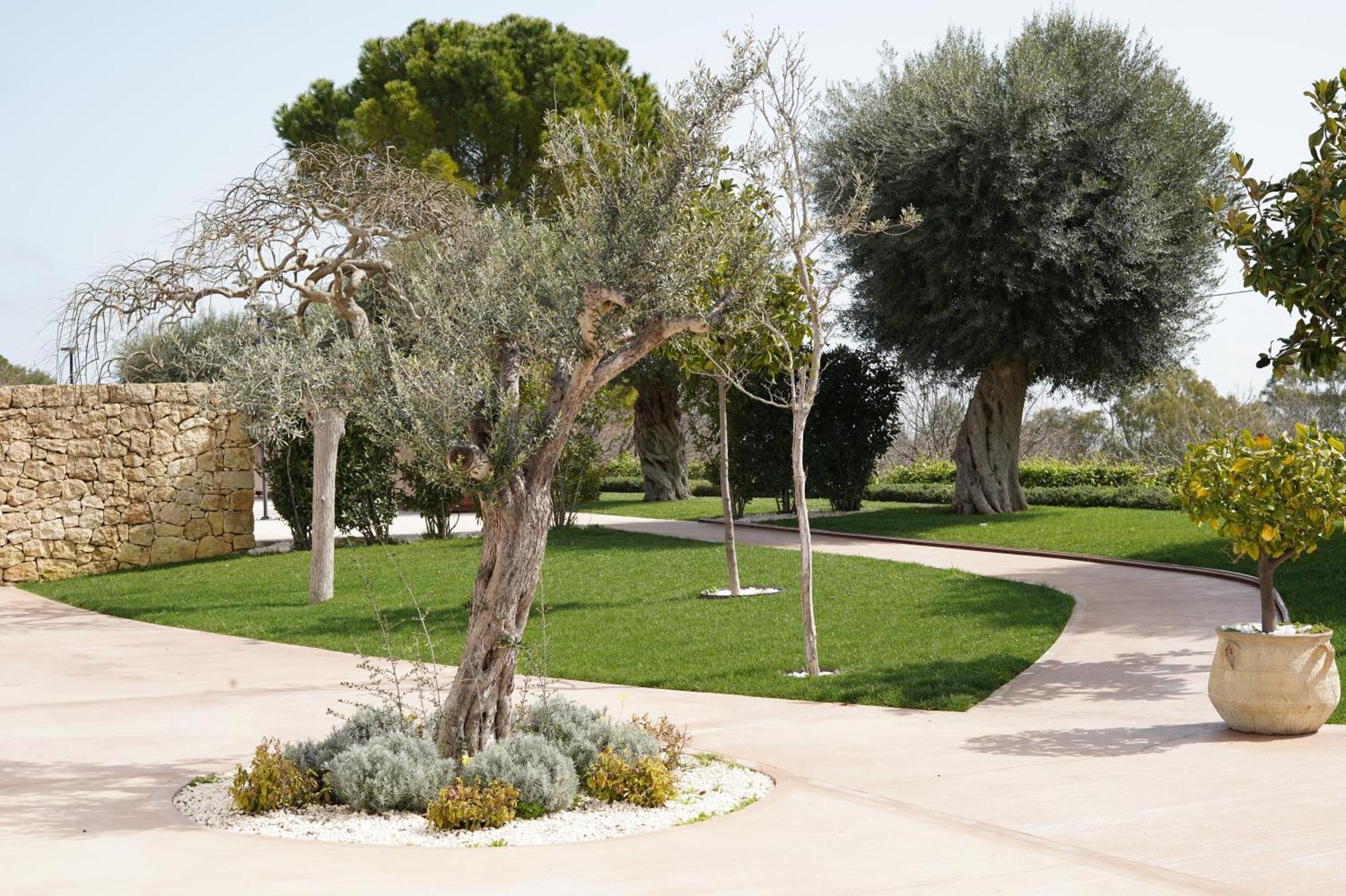 נוטו Tenuta San Marco מראה חיצוני תמונה